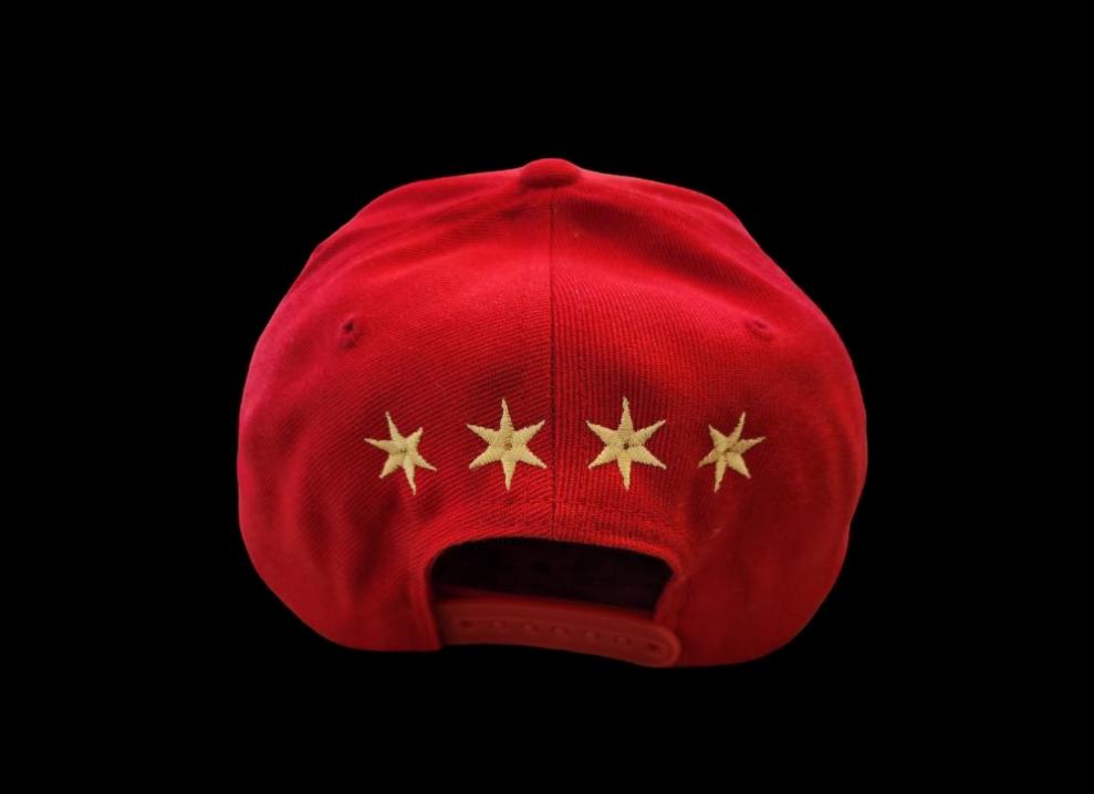 Chi-Town Raging Bull Snapback