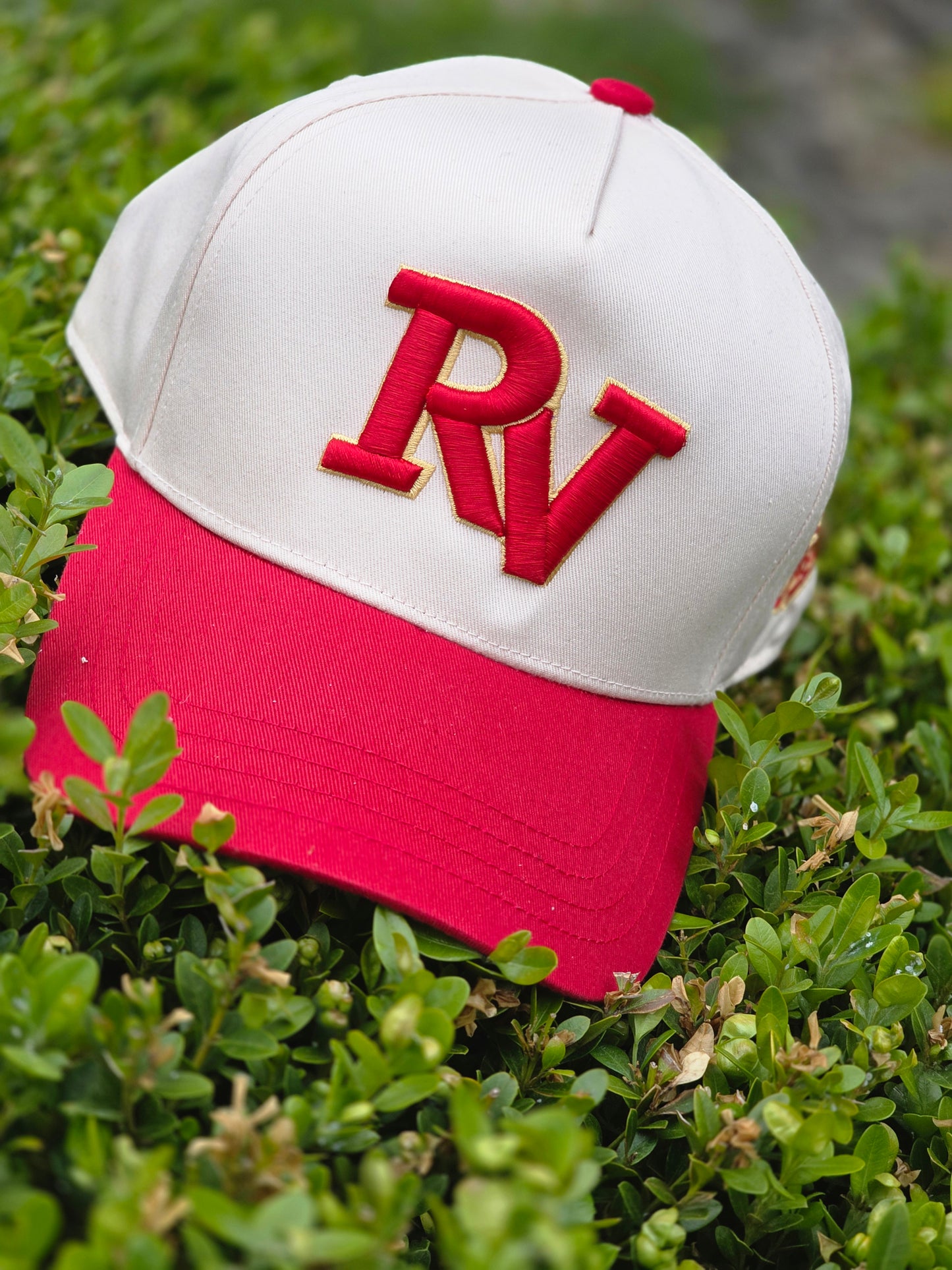 RV Puff Hats